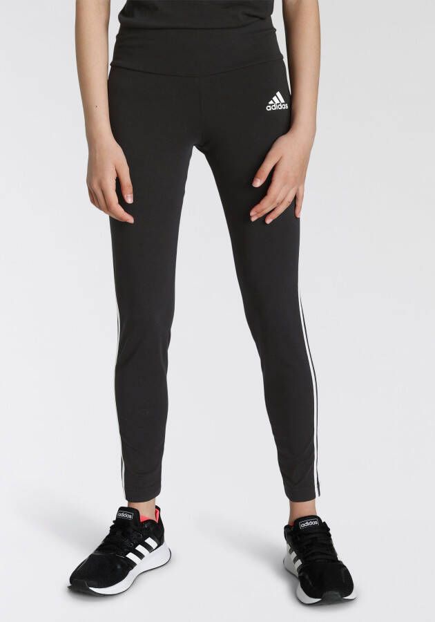 Adidas Sportswear Legging 3-STRIPES COTTON TIGHT (1-delig)