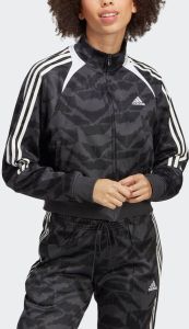 Adidas Sportswear Tiro Suit Up Lifestyle Sportjack