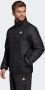 Adidas Sportswear Outdoorjack BSC 3-STRIPES INSULATED WINTERJACK - Thumbnail 1