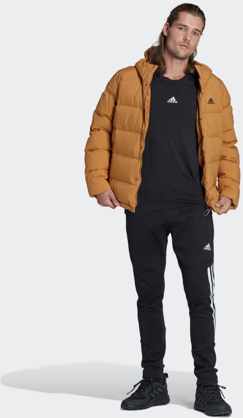 Outdoorjack HOODED Adidas HELIONIC Sportswear donsjack