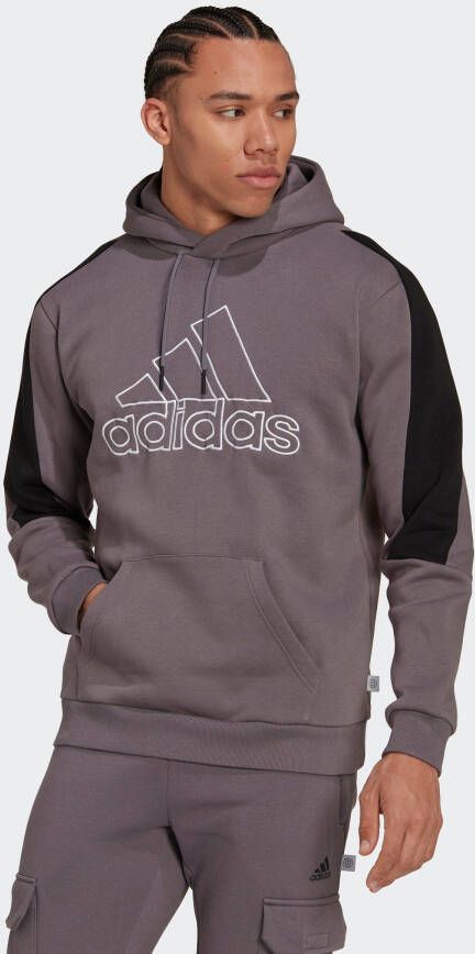 Adidas Sportswear Sweatshirt FUTURE ICONS EMBROIDERED BADGE OF sport fleece-hoody