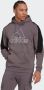 Adidas Sportswear Sweatshirt FUTURE ICONS EMBROIDERED BADGE OF sport fleece-hoody - Thumbnail 1