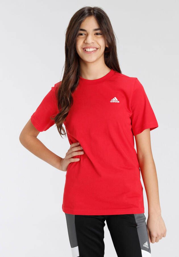 Adidas Sportswear T-shirt ESSENTIALS SMALL LOGO COTTON