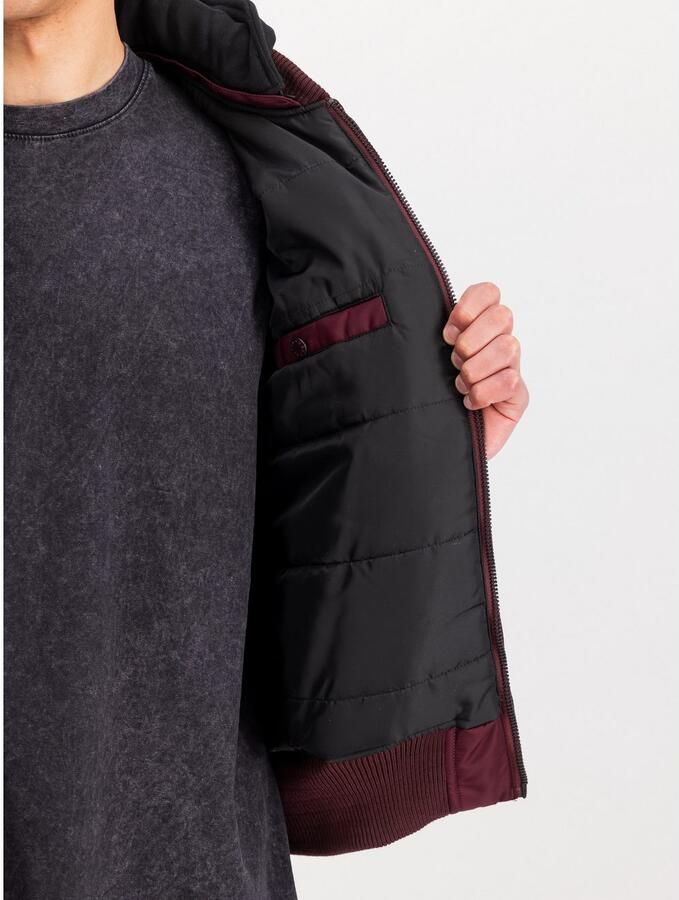 Alpha Industries Bomberjack MA-1 ZH Back Print - Foto 3