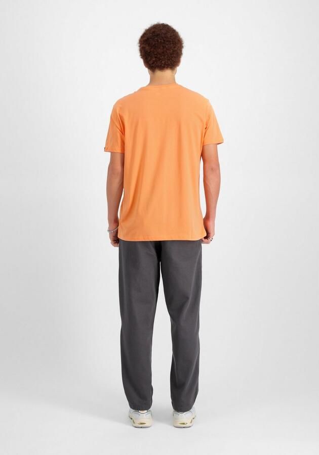 Alpha Industries T-shirt Alpha Label T-Shirt PP - Foto 4