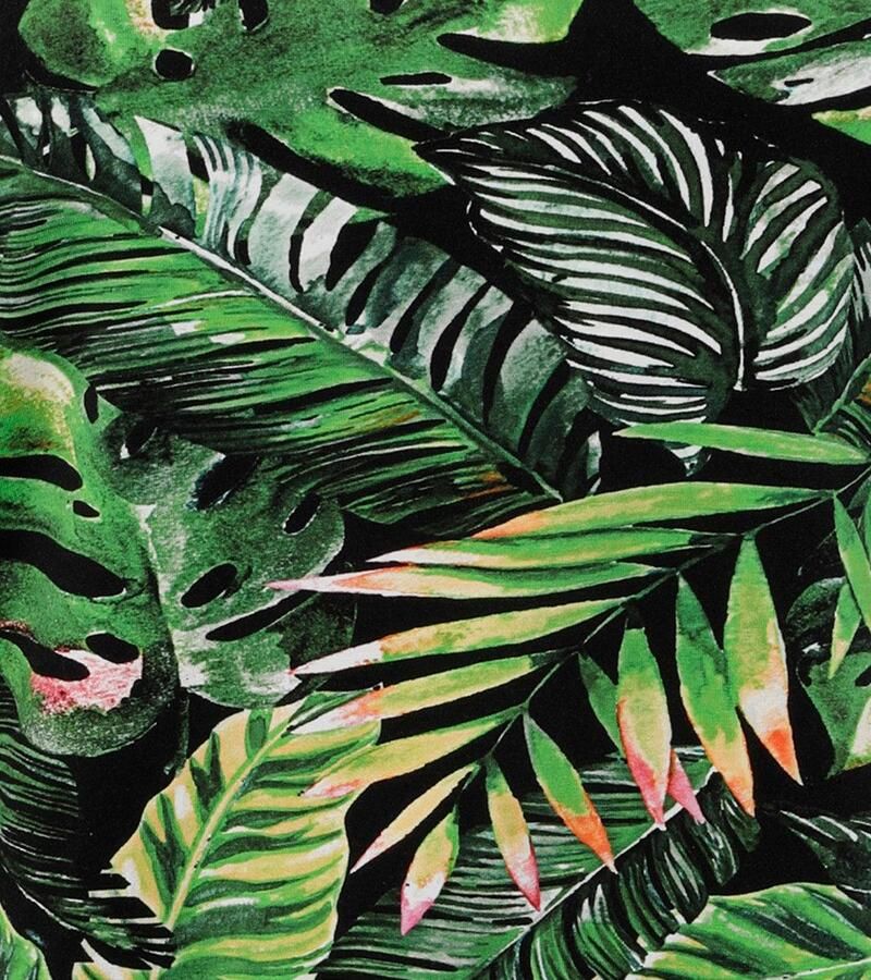 Aniston PLUS Sweatshirt met kleurrijke tropische bladeren bedrukt