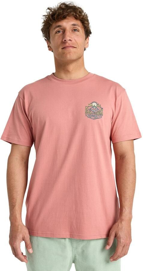 Billabong T-shirt Homegrown - Foto 6