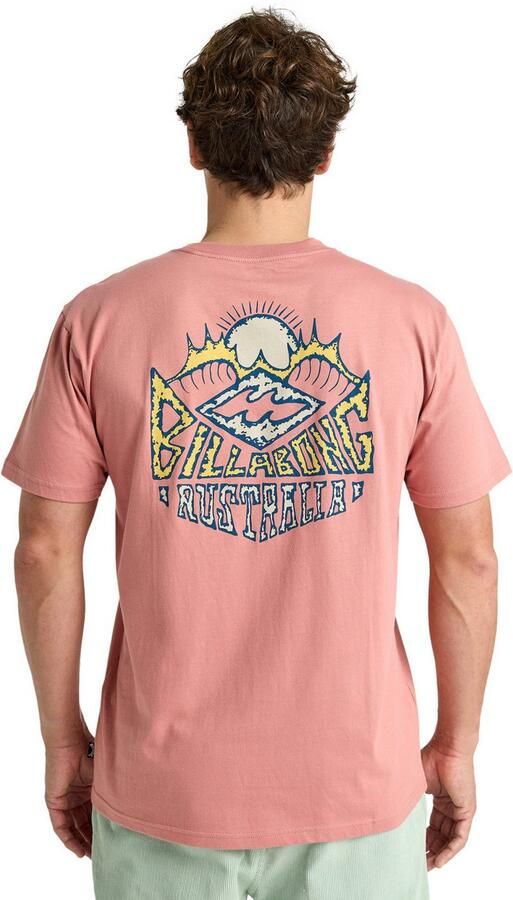 Billabong T-shirt Homegrown - Foto 3