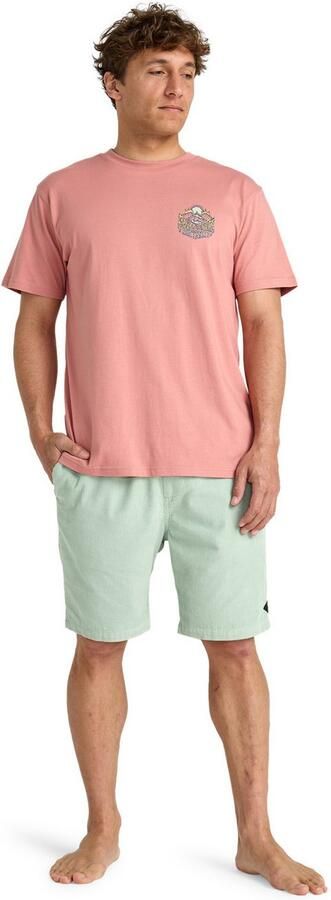Billabong T-shirt Homegrown - Foto 5