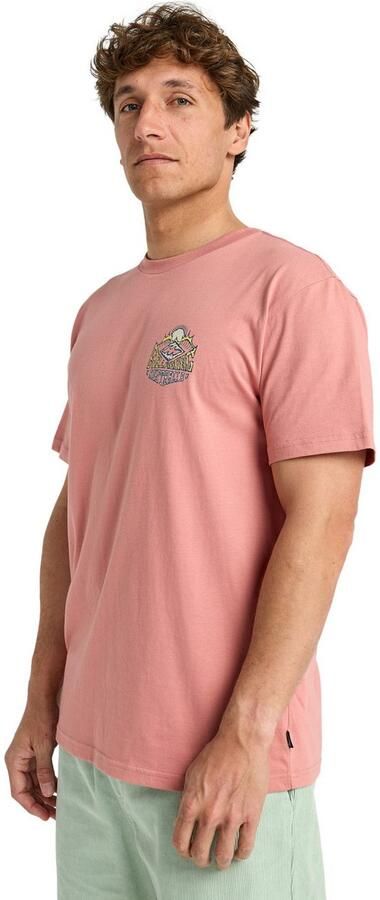 Billabong T-shirt Homegrown - Foto 4