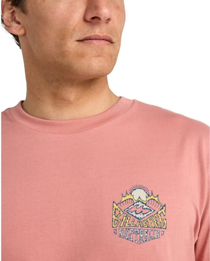 Billabong T-shirt Homegrown - Foto 2