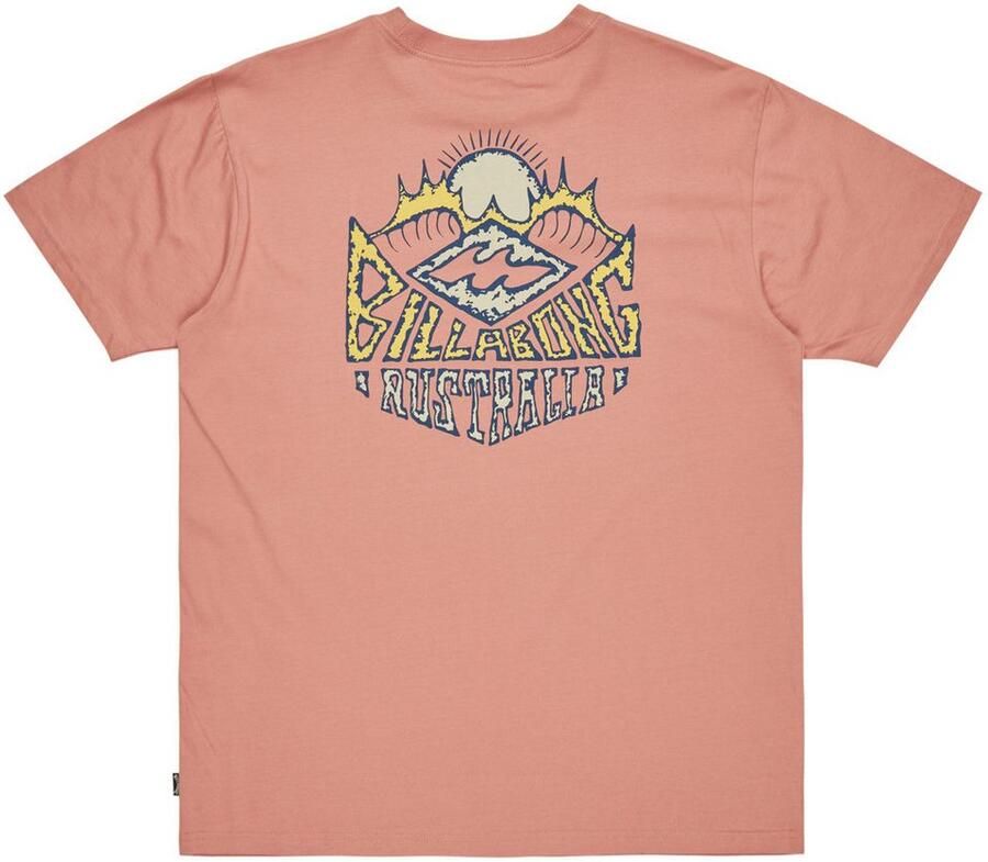 Billabong T-shirt Homegrown