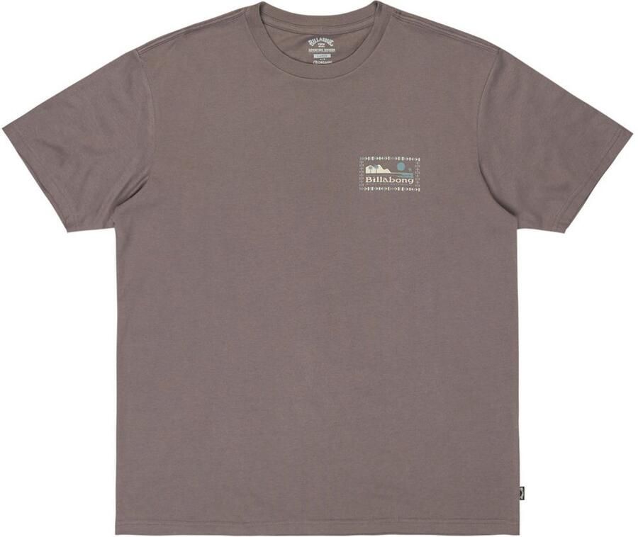 Billabong T-shirt Range