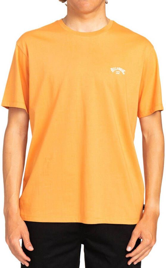 Billabong T-shirt Arch