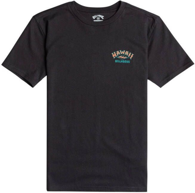 Billabong T-shirt Arch Dreamy Place