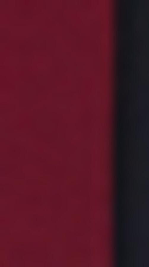 BOSS Business-sokken 2P RS Uni CC (set 2 paar 2 stuks) - Foto 3