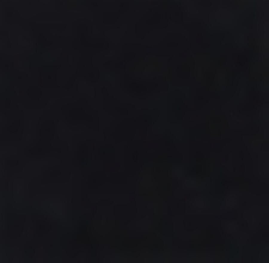 BOSS Business-sokken 2P SL Uni Logo CC (set 2 paar 2 stuks)