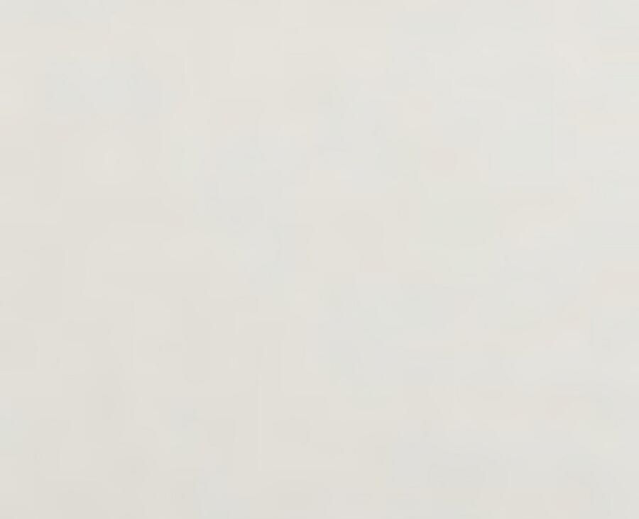 BOSS Slip BRIEF CI met opdruk op de tailleband