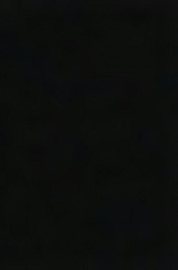 Boss String met elastische band met label in een set van 3 stuks