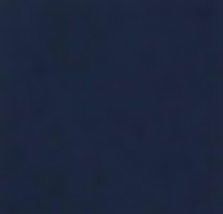 Boss Heren Zwemshorts Stijlvol Comfortabel Blue Heren