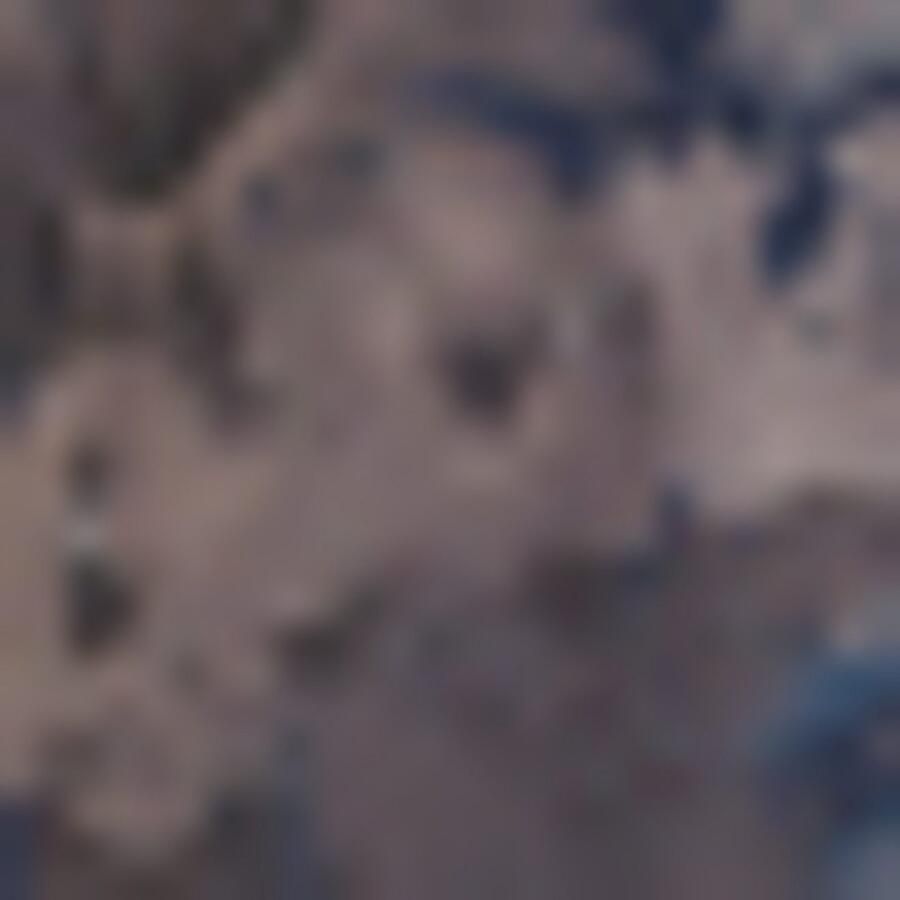 BOSS Zwemshort Piranha met kleurrijke all-over print - Foto 2