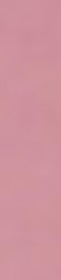 BOSS GREEN Poloshirt PADDY met contrasterende strepen aan de kraag - Foto 5