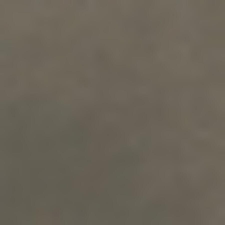 Boss Orange Gewatteerde jas Padilena Premium Damesmode Regular Fit met opstaande kraag gevoerde zakken