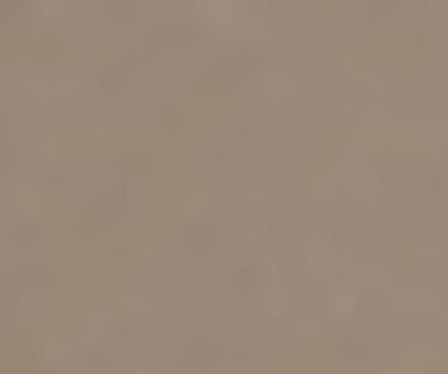 Boss Orange Hoodie Wetalk met geborduurd boss merkembleem