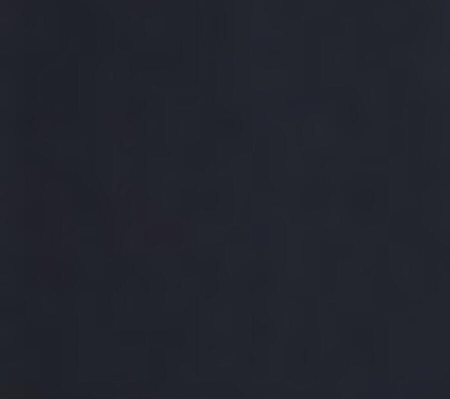 BOSS ORANGE Heren Polo's & T-shirts Passerzip Donkerblauw