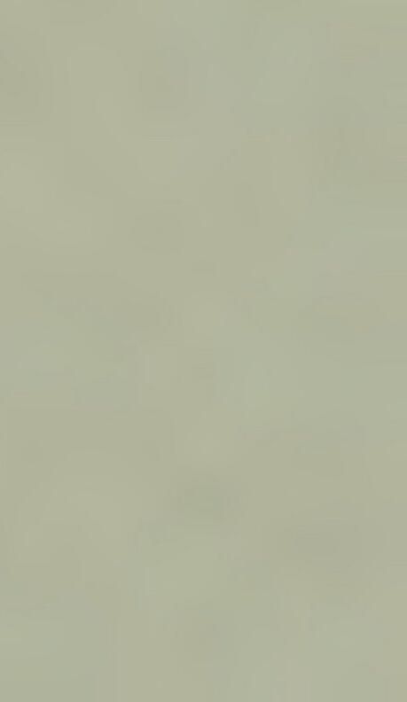 Boss Orange Regular fit T-shirt van puur katoen model 'TALES' - Foto 3