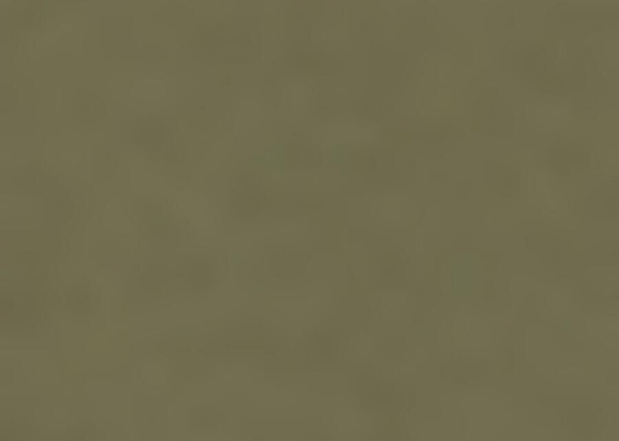 BOSS ORANGE Heren Polo's & T-shirts Tchup 10242929 01 Olijf - Foto 6