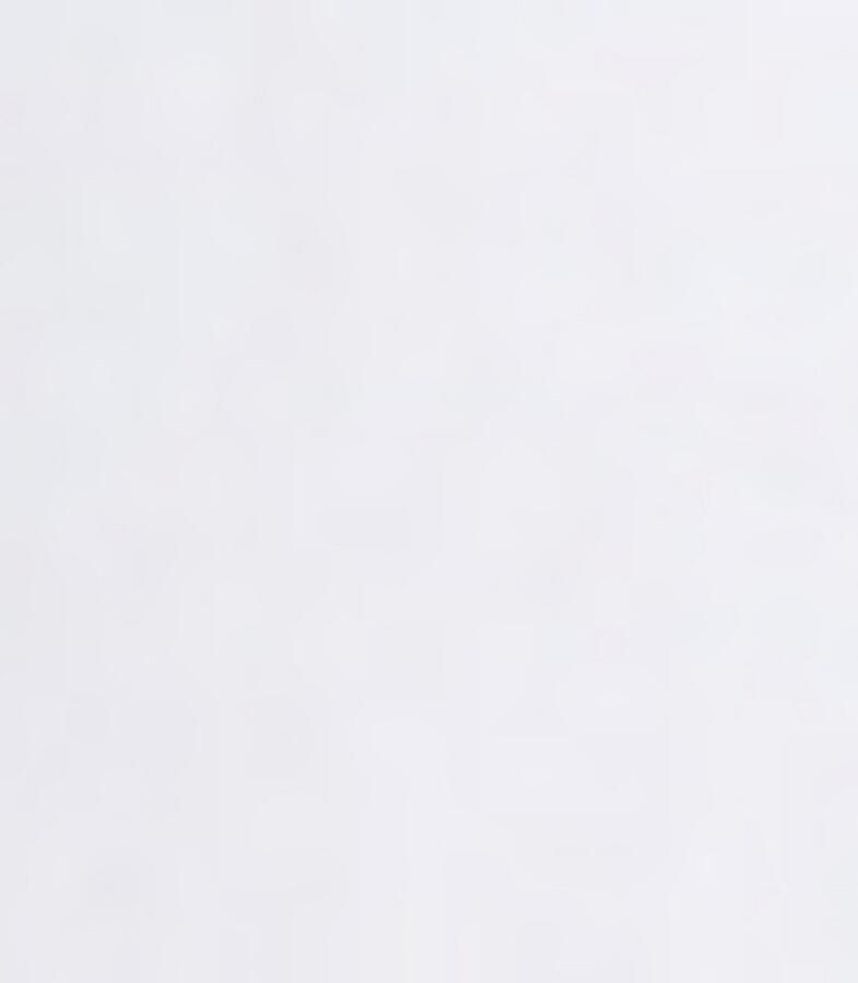 Boss Orange T-shirt Te Dunetrace met grote fotoprint