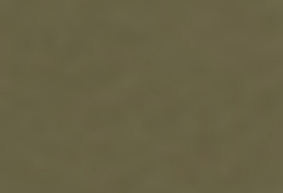 Boss Orange Regular fit T-shirt van puur katoen model 'TEGOOD' - Foto 2