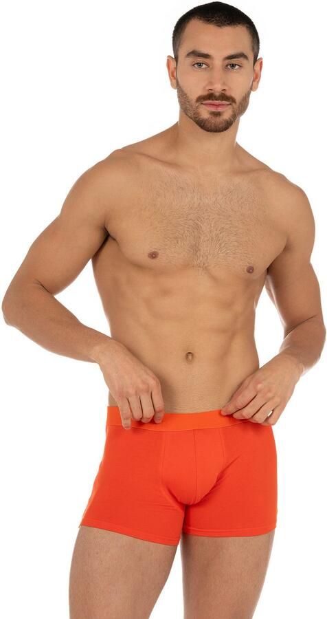 Bruno Banani Boxershort Flowing met contrastkleurige boorden (Set van 2) - Foto 9