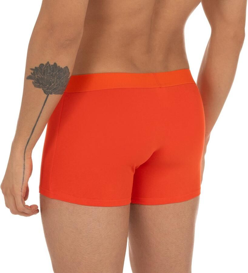 Bruno Banani Boxershort Flowing met contrastkleurige boorden (Set van 2) - Foto 5