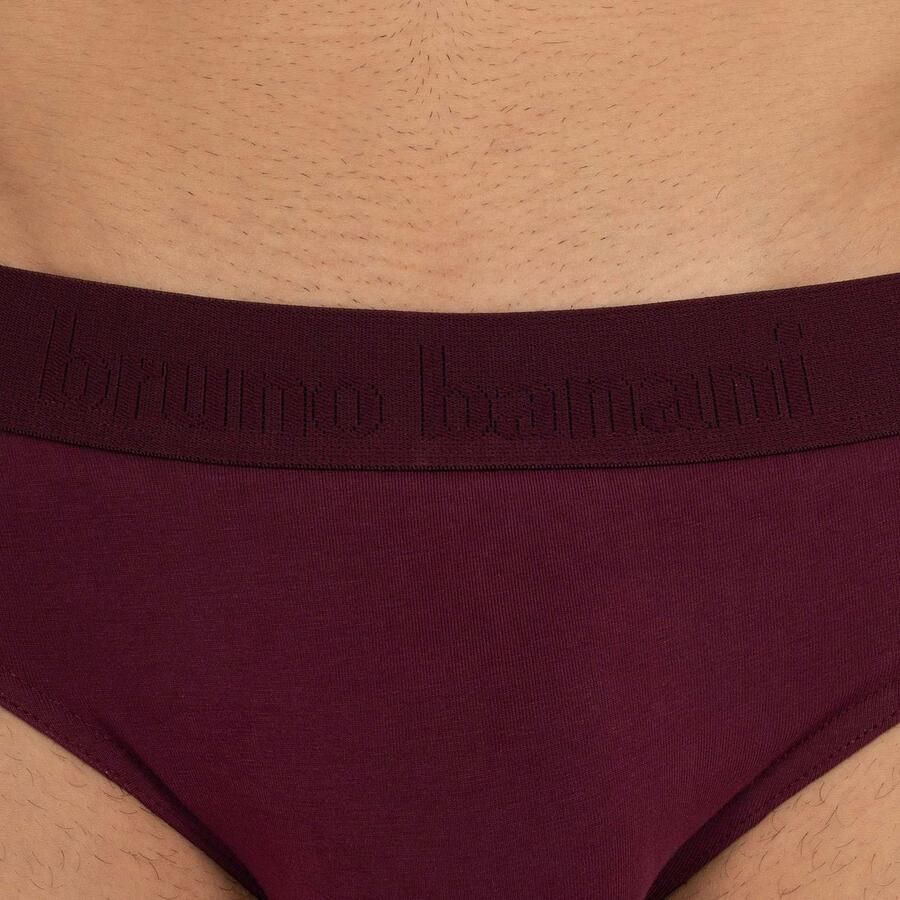 Bruno Banani Slip Flowing met logoband (2 stuks Set van 2)