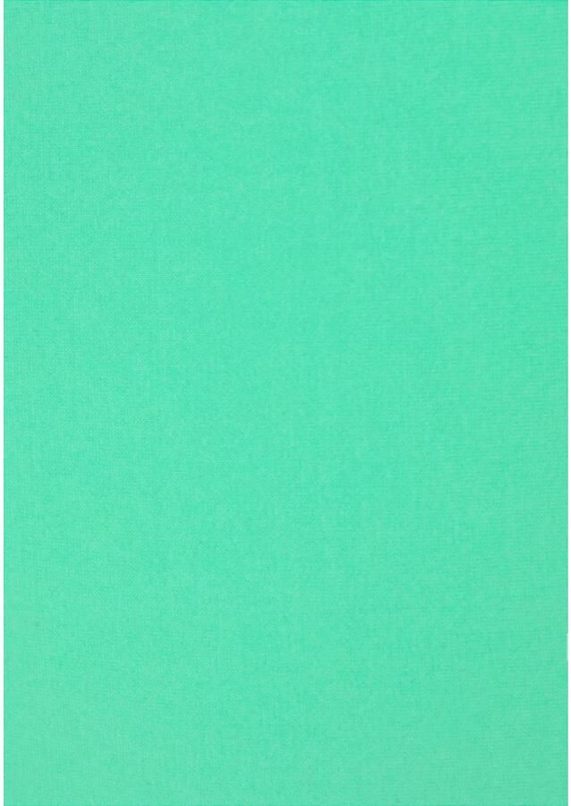 Buffalo Triangelbikini met gevlochten details - Foto 2