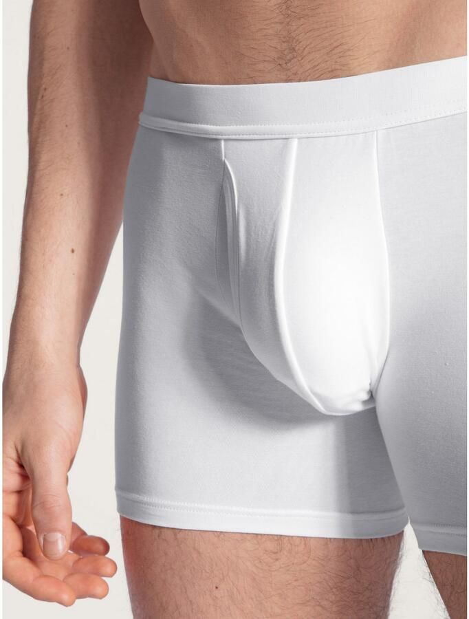 CALIDA Boxershort Evolution Logo-belettering single jersey zonder opening - Foto 2