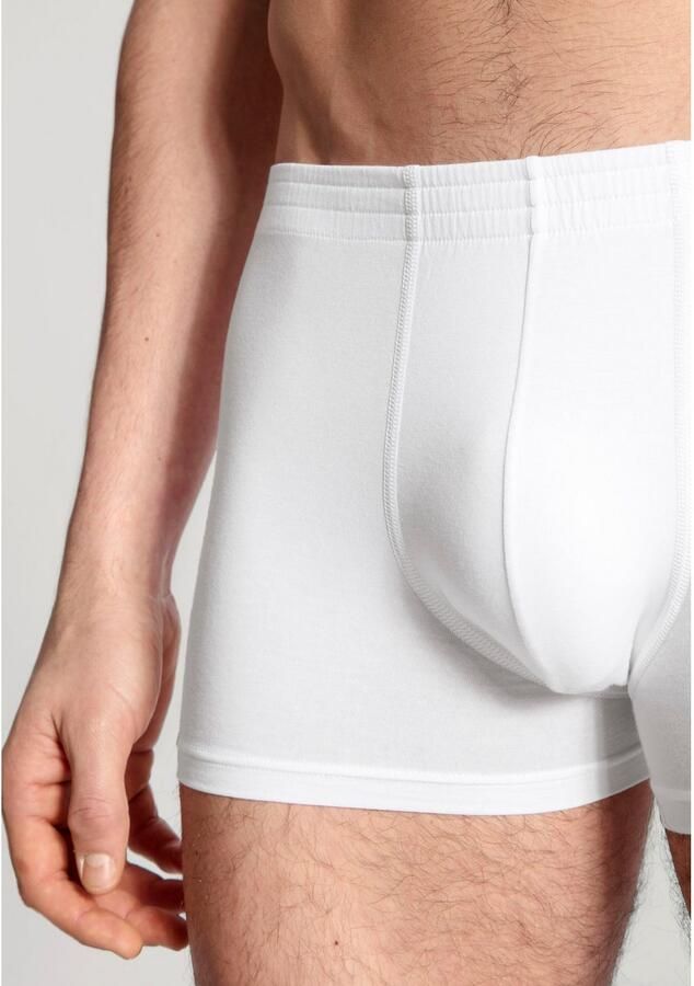 CALIDA Boxershort Focus met beklede tailleband single jersey zachte touch elastisch - Foto 5