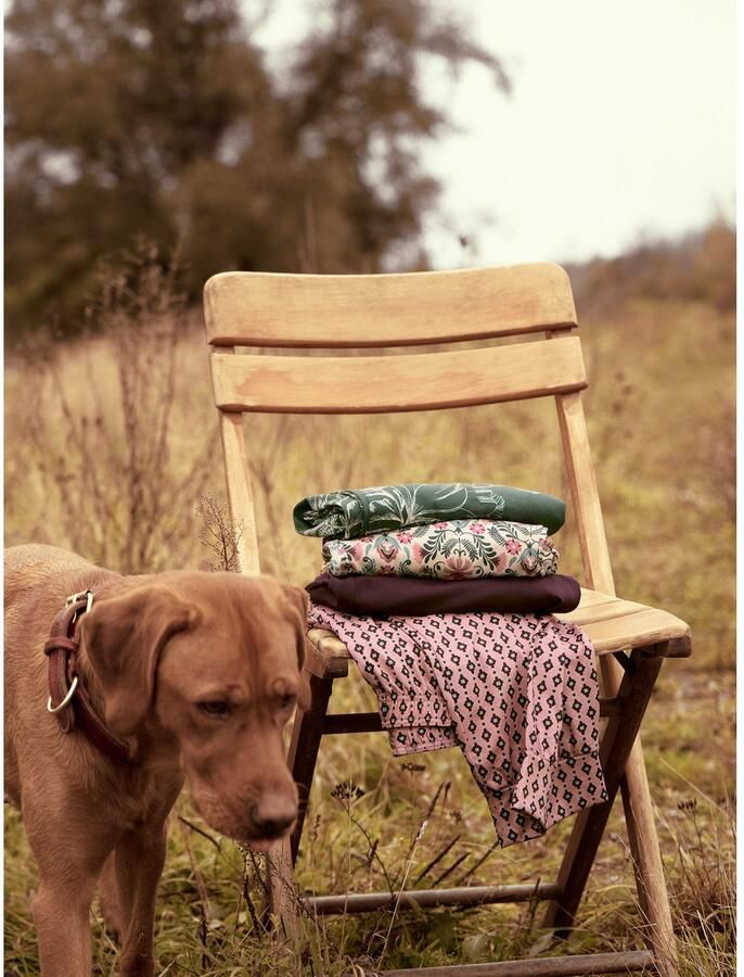 CALIDA Pyjamabroek Favourites Botanic zacht elastiek katoen single jersey kwaliteit achterzak