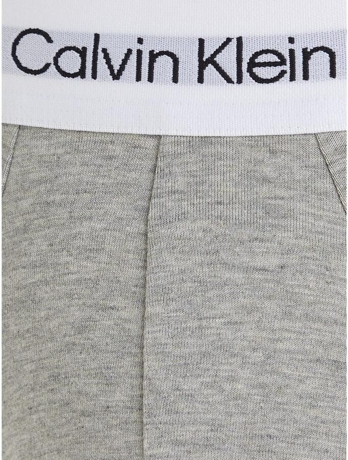 Calvin Klein Hipster HIP BRIEF 3PK met logo-elastische tailleband (3 stuks) (set 3 stuks) - Foto 4