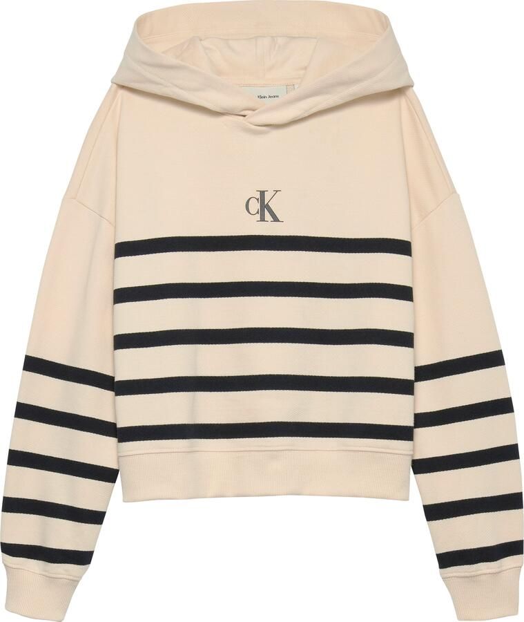 Calvin Klein Hoodie CK LOGO BOXY FIT STRIPES HOODIE voor kinderen tot 16 jaar met capuchon - Foto 5