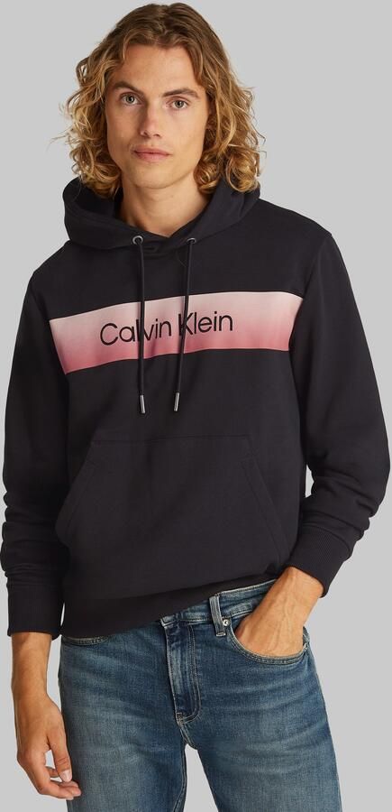 Calvin Klein Hoodie LINEAR OMBRE CHEST LOGO HOODIE - Foto 6