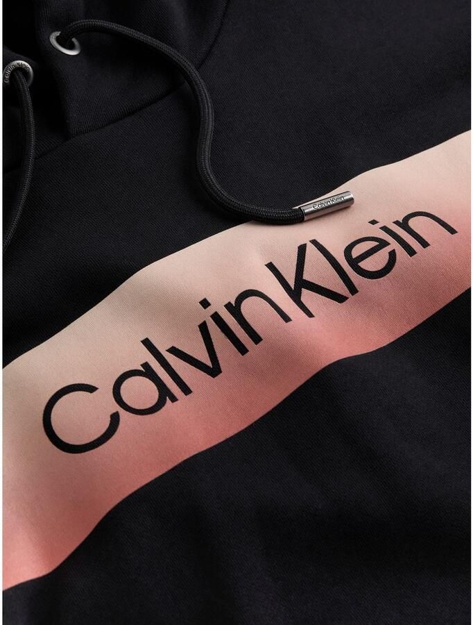 Calvin Klein Hoodie LINEAR OMBRE CHEST LOGO HOODIE