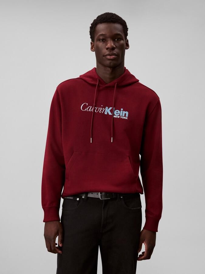 Calvin Klein Hoodie LS EU 350TERRY CURSIVE GRAPHIC H - Foto 6