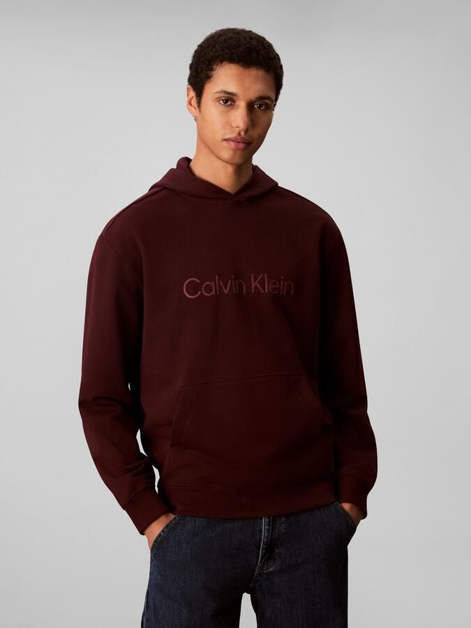 Calvin Klein Hoodie LS EU STANDARD LOGO 350TERRY PO - Foto 5