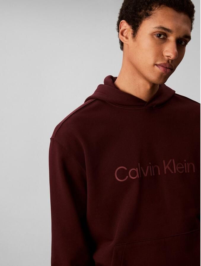 Calvin Klein Hoodie LS EU STANDARD LOGO 350TERRY PO