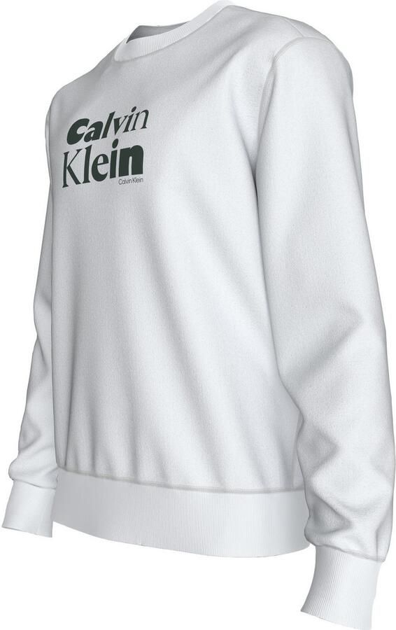 Calvin Klein Sweatshirt LS EU 350TERRY CALVIN BOLD GRAPH - Foto 7