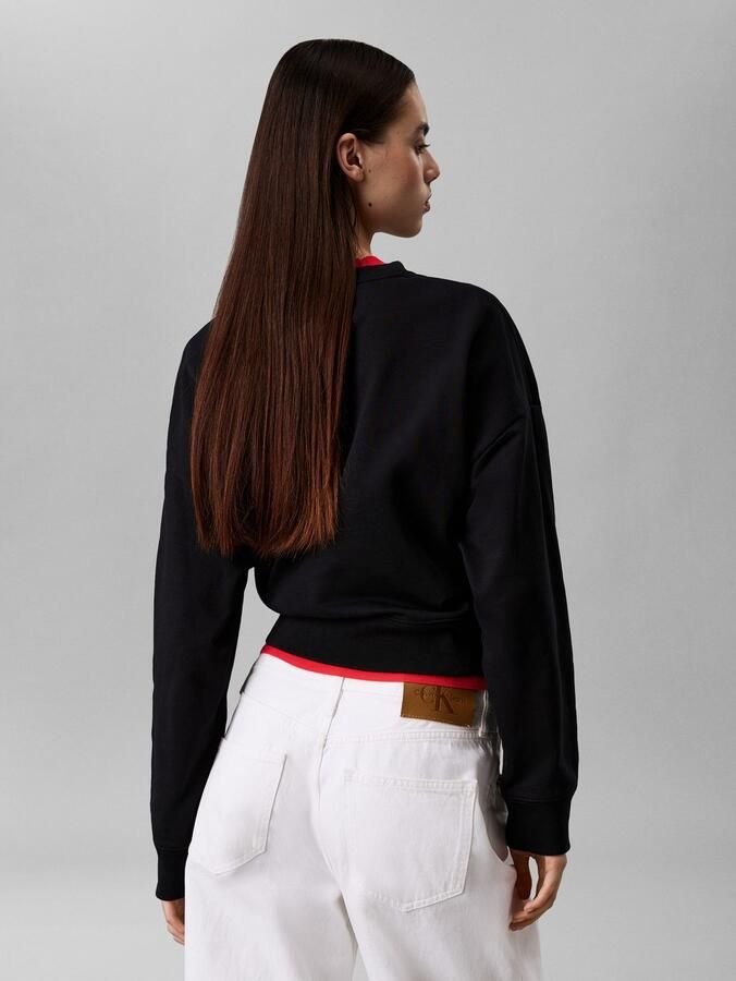 Calvin Klein Jeans Sweater LS MONOLOGO FRENCH T LV047B234G - Foto 9