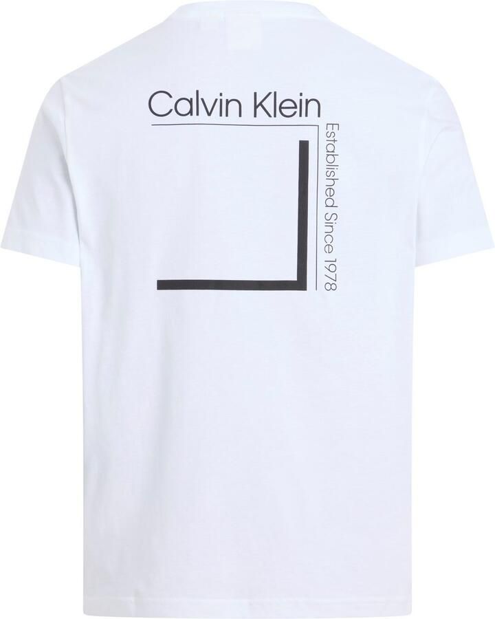 Calvin Klein Jeans Polo Shirt Lange Mouw CP-LINEAR BOX LOGO K10K114152 - Foto 2
